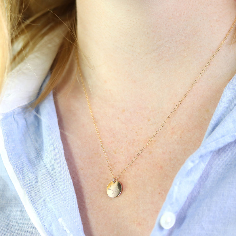 Turtle Disc Necklace